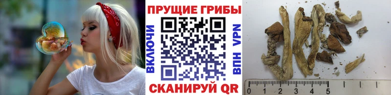 Псилоцибиновые грибы Magic Shrooms  Пролетарск 